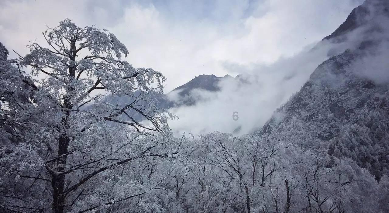 公主权力游戏换装