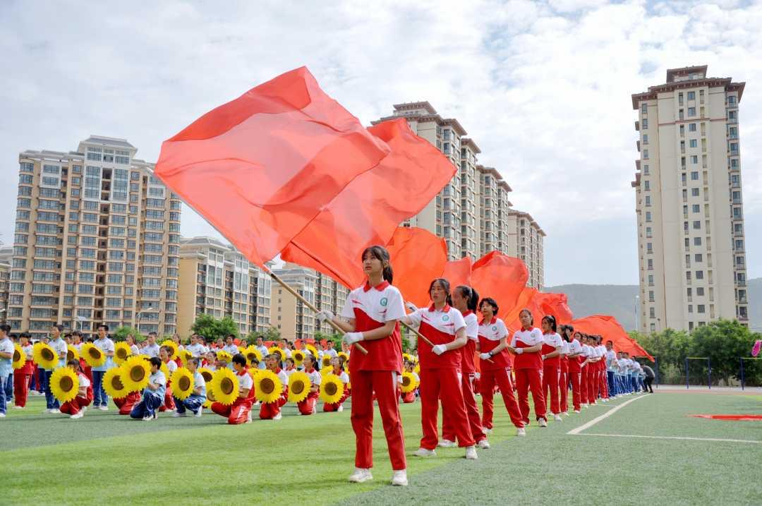 阴暗森林