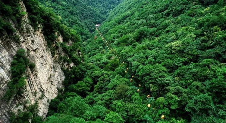 天津败北凸显国家队问题:接应瘸腿、拦网太差、主教练太保守!